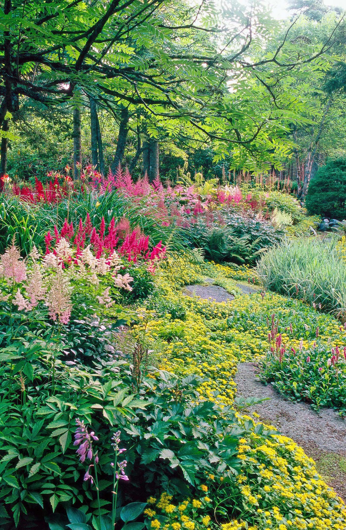 astilbe garden design Bulan 2 This Perennial Shade Garden Plan Brings Color to Hard-to-Grow Areas